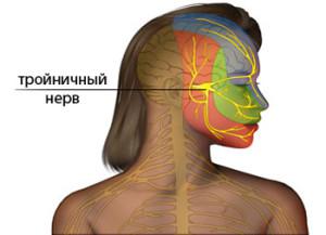 Все о воспалении тройничного нерва: симптомы невропатии, причины и медикаментозное лечение антибиотиками