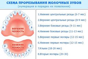 Почему у ребенка в год нет зубов: основные причины позднего прорезывания по мнению Комаровского